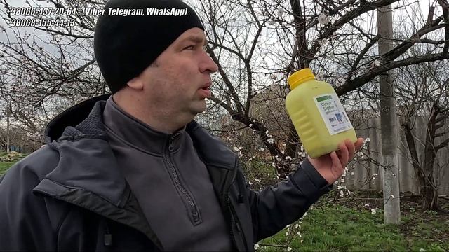 Захист АБРИКОСА від моніліозу 2025