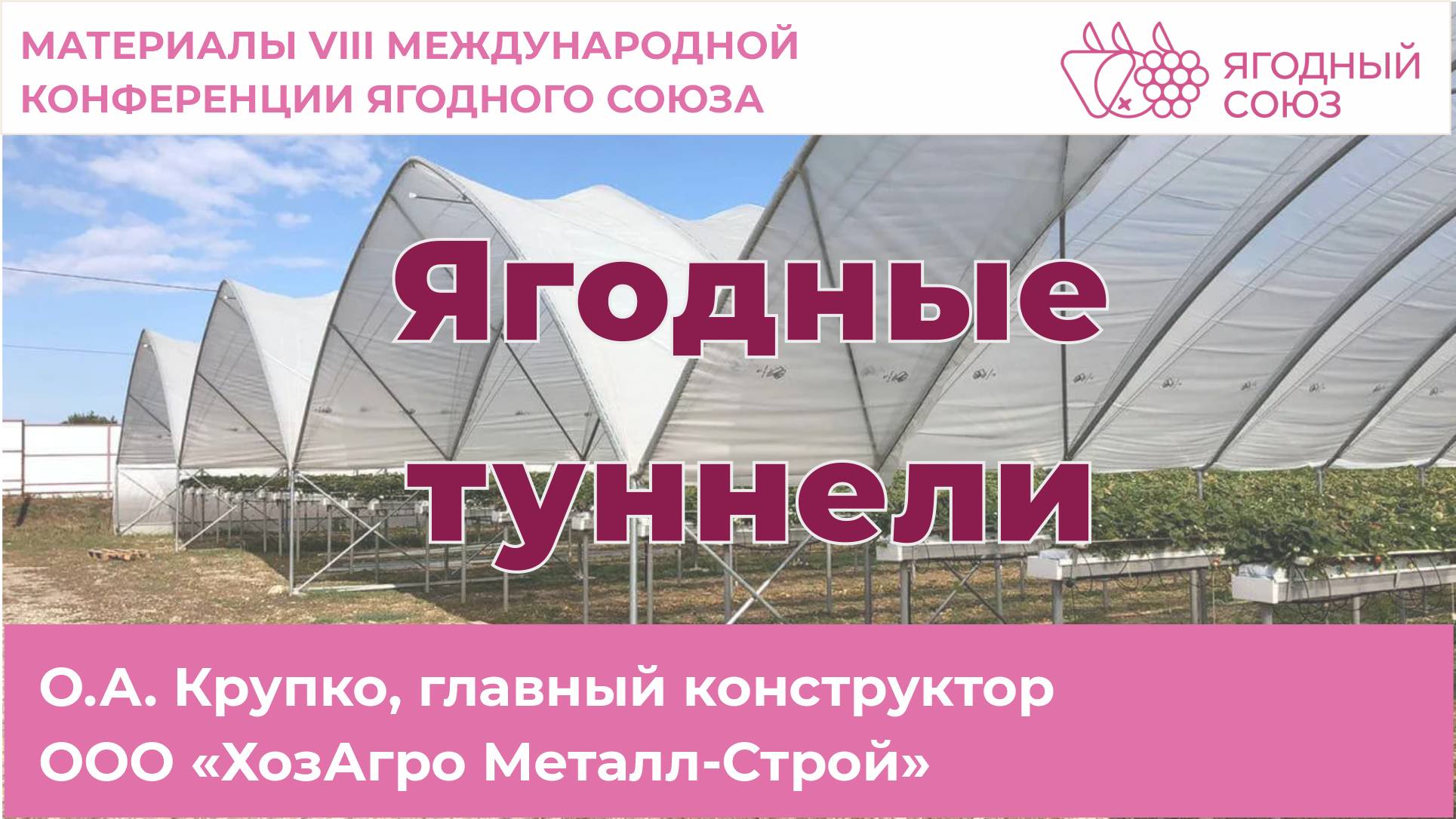 Ягодные туннели. Конференция Ягодного Союза