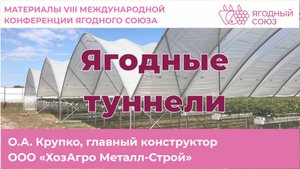 Ягодные туннели. Конференция Ягодного Союза