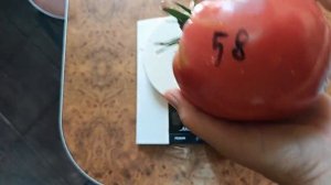 Томат Волфорда чудо