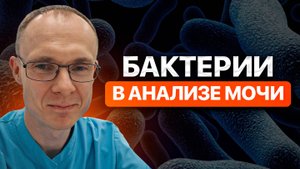 Бактерии в анализе мочи. Врач уролог-андролог. Москва