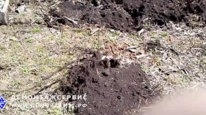 Выкорчевка вишни при помощи мини-экскаватора!