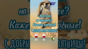 Прикольные озвучки про пятницу 😂