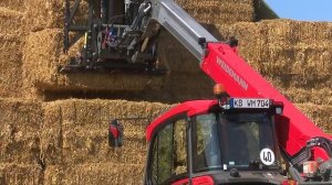 T7042 Weidemann – телескопічний навантажувач для сільського