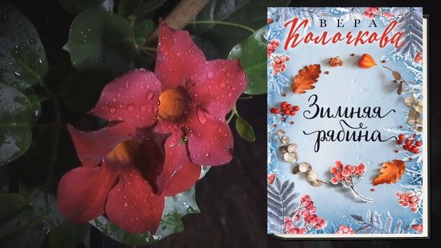 Зимняя рябина (Вера Колочкова) Аудиокнига смотреть онлайн