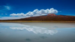 SAMSUNG 4K DEMO QLED 🔵 Pure Colors [2к 60fps 9 302 000 bitrate]