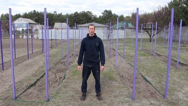 Коли розкривати виноградник 2025 смотреть онлайн