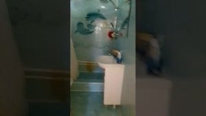 Рабфаковский1