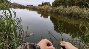 Мормышинг.В поисках карася.Осенняя рыбалка.