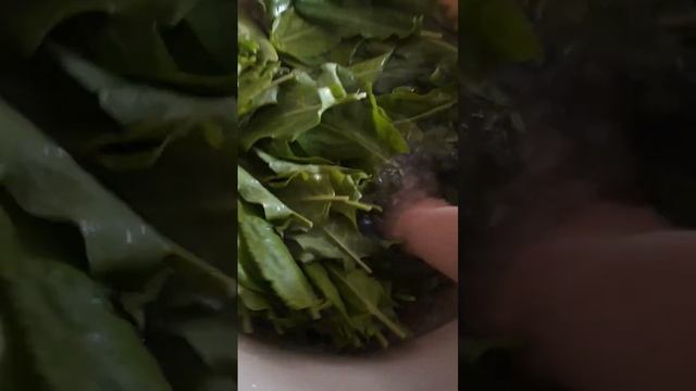 Как заготовить щавель на зиму - как я замораживаю щаве? смотреть онлайн