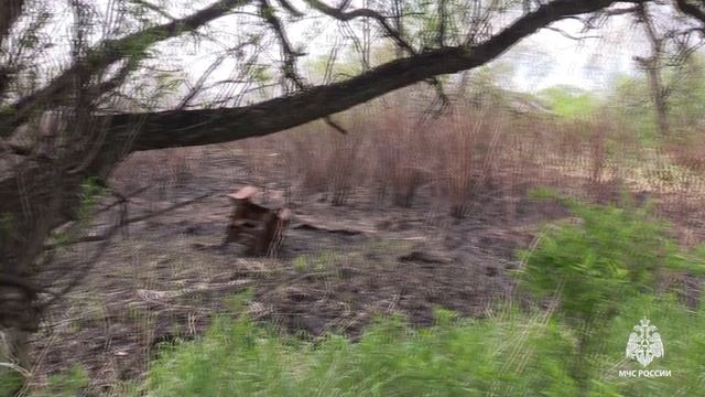 Больше 850 профилактических мероприятий, выявлено 36 нарушителей