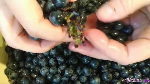 Сладкий мой 🍇😋, встретимся зимой 😉 смотреть онлайн