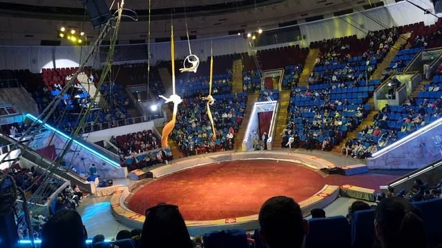 Сходили в цирк - Земля мамонта. Пудели и воздушные гимнасты. смотреть онлайн