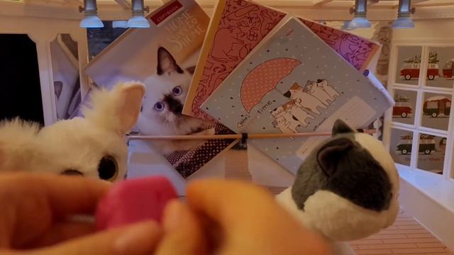 Beanie Boos глазастики ty,  класс балета смотреть онлайн