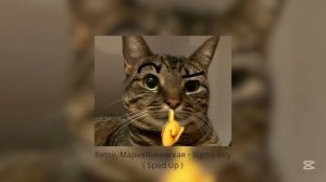 Betsy, МарияЯнковская - Sigma Boy ( Sped Up )