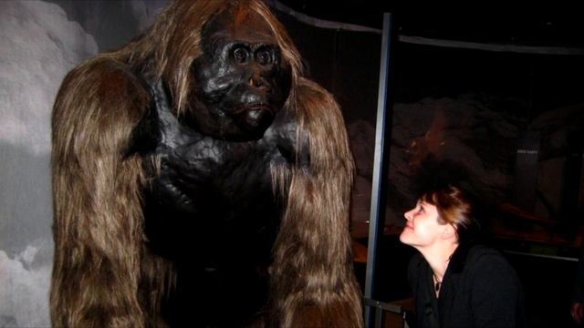 Топ 10 Самых Жутких и Опасных Животных, Которые, Слава Б смотреть онлайн