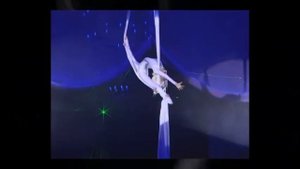 Принцесса Российского Цирка 2011г