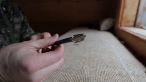 Охота на оленя с арбалета.