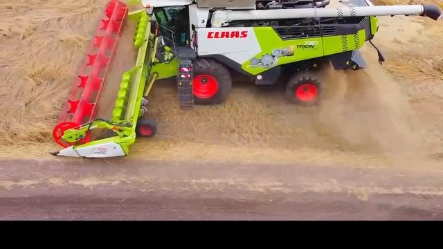 Работает CLAAS TRION 730, Новосибирск сентябрь 2024 смотреть онлайн