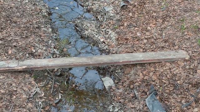 Зацвели рябина и сирень смотреть онлайн