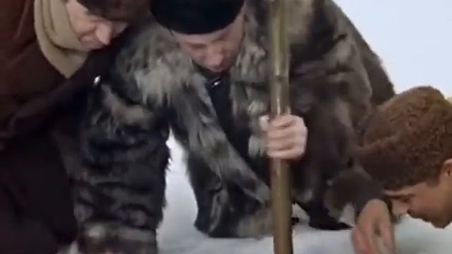 Володя в прорубе)))shorts#приколы#смешноевидео смотреть онлайн