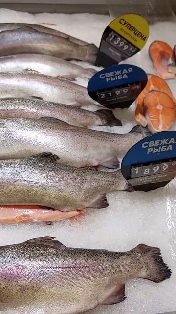 #Свежая рыба #Четверг рыбный день #Рыбная история смотреть онлайн