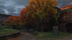 The-Last-of-Us-Успокаивающая-Расслабляющая-Эмбиент-Музыка-Fallen-Grounds