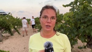 Давим виноград босыми ногами.Секретное место на Кипре