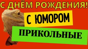 Прикольные поздравления с днём рождения с юмором