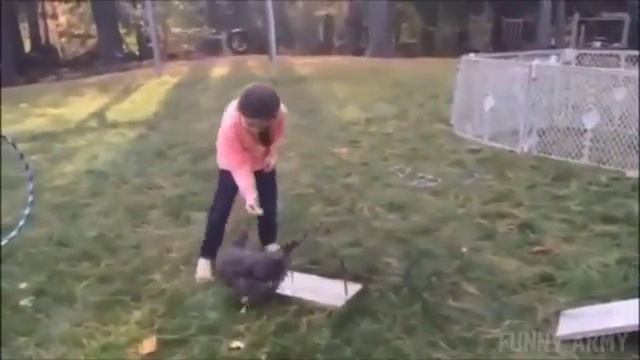 Курица акробат! Животные! Приколы! смотреть онлайн