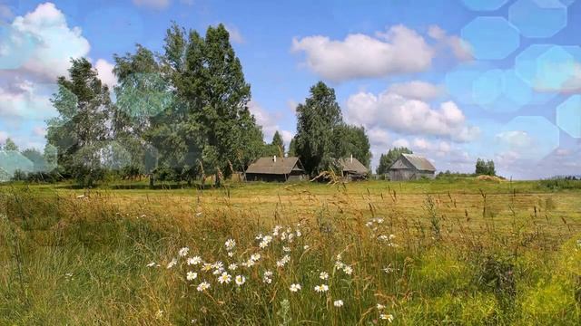 Я встретил розу смотреть онлайн