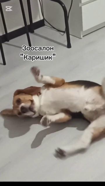 Просто релакс