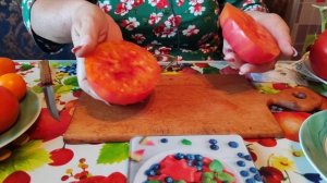 Томат  Большая радуга.