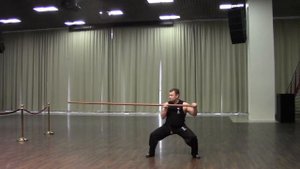 Фестиваль Вин Чун  2016 СПб   Luk Dim Boon Gwun, Смирнов Леонид