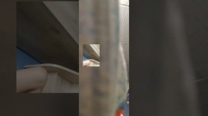 Всем привет пацаны и девочки