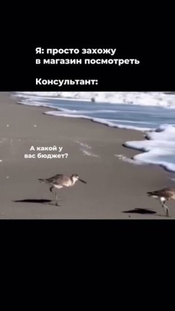 Продавец бегает за покупателем. Юмор