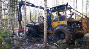 LKT-81 forest working |  ЛКТ-81 лесной трактор