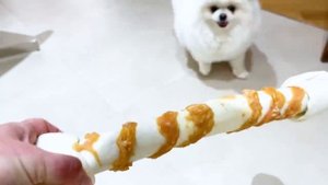 Мистер Макс • Mister Max - ВЛОГ День рождения Гуччи и вкусные стейки от папы
