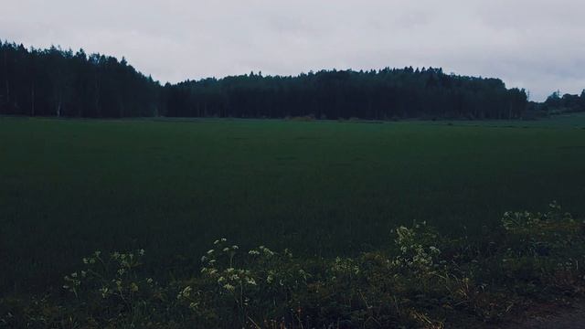 Я многодетный отец, а в чем твоя супер сила?!