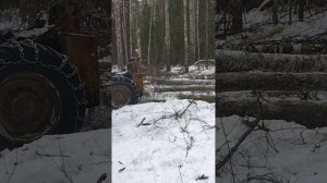 лкт 81 в России