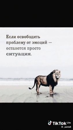 Ситуация