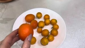 Кумкват Мейва и Мандаринкват Индио 🍊 сладкие цитрусы