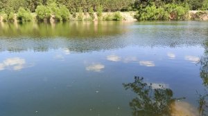 Вода #топыкатегорий