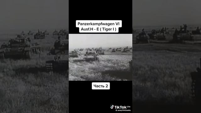Управление Тигром