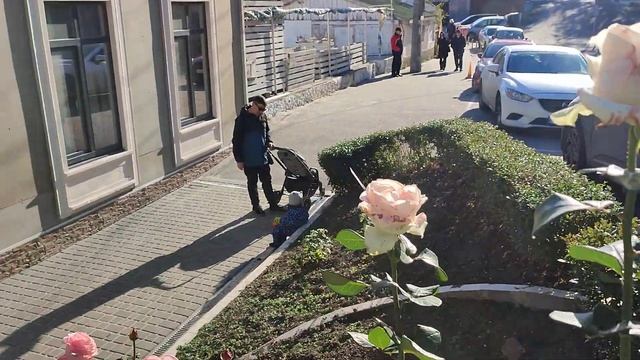 16 ноября 2024 г.(1) Я покажу  вам розы...Князь-Цыцак смотреть онлайн