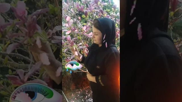 Северное Сияние Зарипат Каратова смотреть онлайн