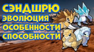 СЭНДШРЮ. ЭВОЛЮЦИЯ, ОСОБЕННОСТИ, СПОСОБНОСТИ