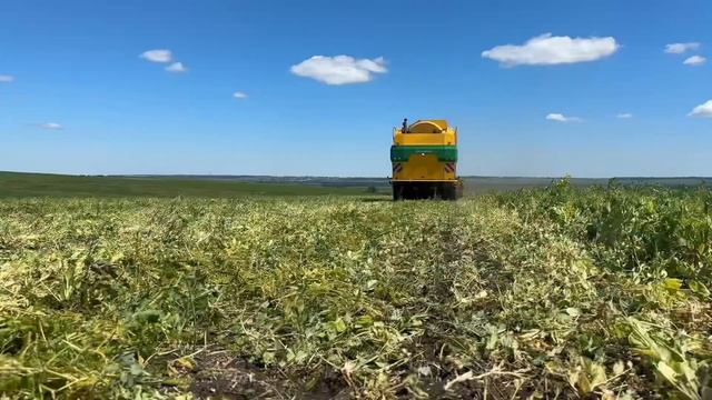 Зелёный горох. 1 Серия. #мордовия #сельскоехозяйство #с смотреть онлайн