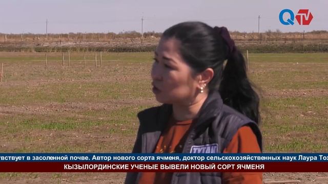КЫЗЫЛОРДИНСКИЕ УЧЕНЫЕ ВЫВЕЛИ НОВЫЙ СОРТ ЯЧМЕНЯ