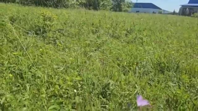 Земельный участок в с. Подгорное смотреть онлайн